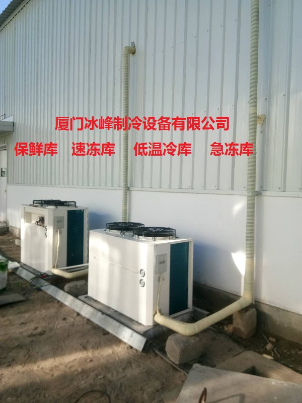 金針菇冷庫|木耳冷庫